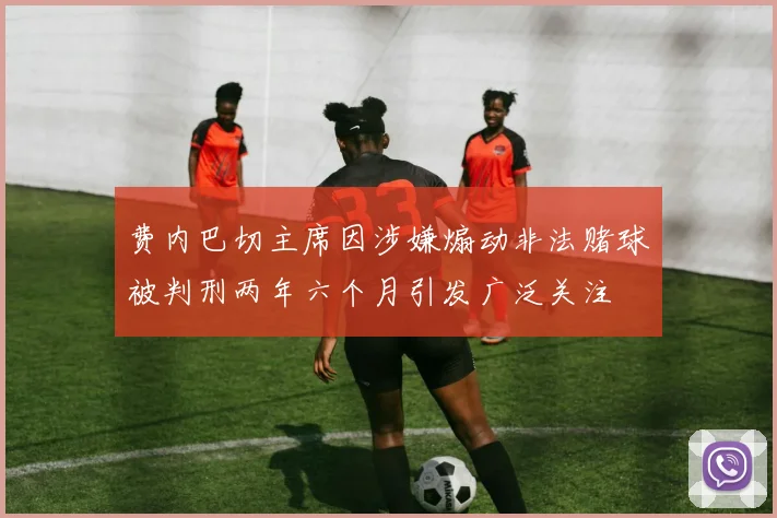 费内巴切主席因涉嫌煽动非法赌球被判刑两年六个月引发广泛关注
