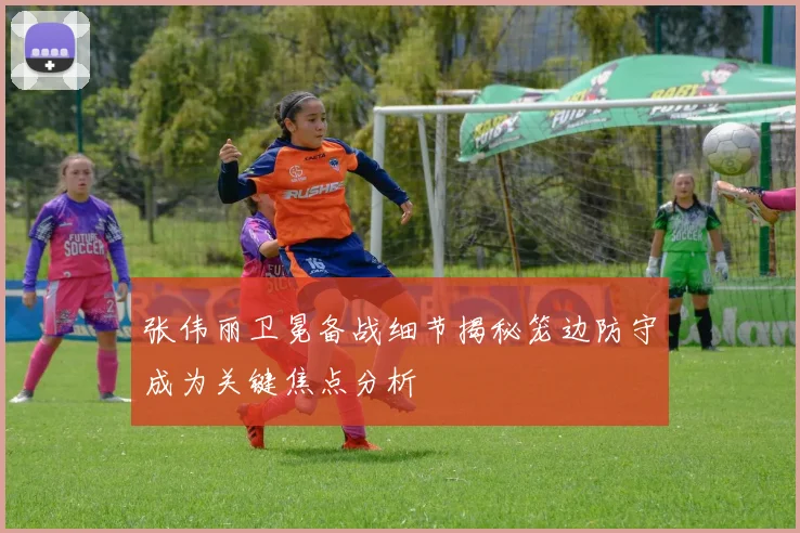 张伟丽卫冕备战细节揭秘笼边防守成为关键焦点分析