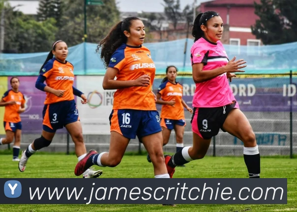 战术分析频道